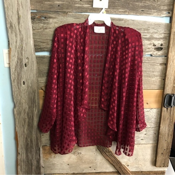 VINTAGE Image Size 1X Burgundy Velvet Burnout Semi-Sheer Cover-up - Picture 1 of 5